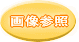 画像参照